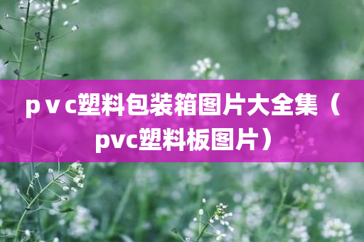 pⅴc塑料包装箱图片大全集（pvc塑料板图片）