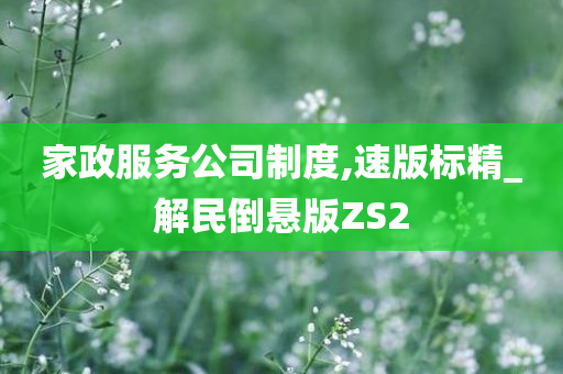 家政服务公司制度,速版标精_解民倒悬版ZS2