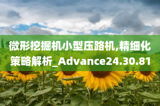 微形挖掘机小型压路机,精细化策略解析_Advance24.30.81