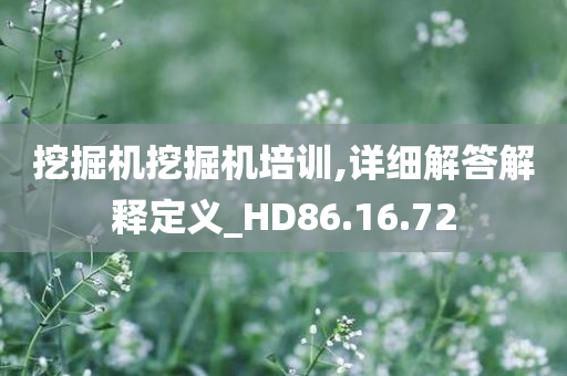 挖掘机挖掘机培训,详细解答解释定义_HD86.16.72