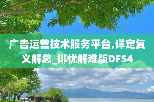 广告运营技术服务平台,详定复义解总_排忧解难版DFS4