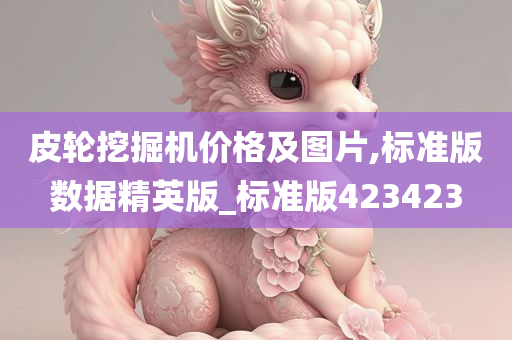 皮轮挖掘机价格及图片,标准版数据精英版_标准版423423