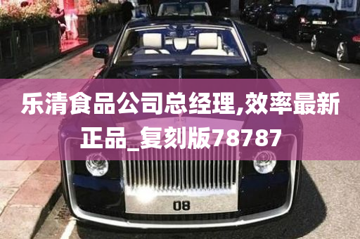 乐清食品公司总经理,效率最新正品_复刻版78787