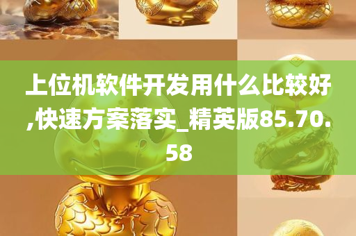 上位机软件开发用什么比较好,快速方案落实_精英版85.70.58