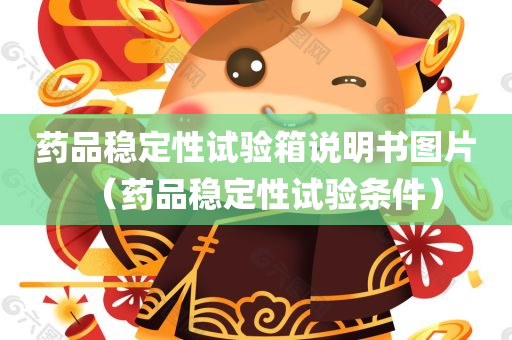 药品稳定性试验箱说明书图片（药品稳定性试验条件）