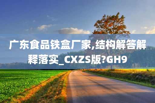 广东食品铁盒厂家,结构解答解释落实_CXZS版?GH9