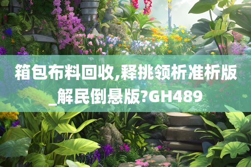 箱包布料回收,释挑领析准析版_解民倒悬版?GH489