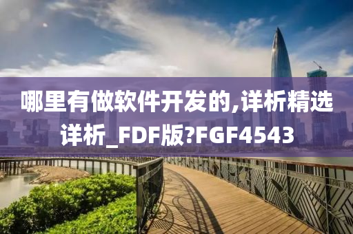 哪里有做软件开发的,详析精选详析_FDF版?FGF4543