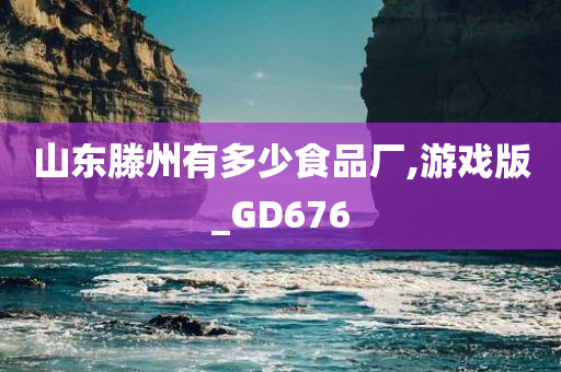 山东滕州有多少食品厂,游戏版_GD676