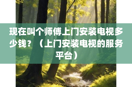 现在叫个师傅上门安装电视多少钱？（上门安装电视的服务平台）