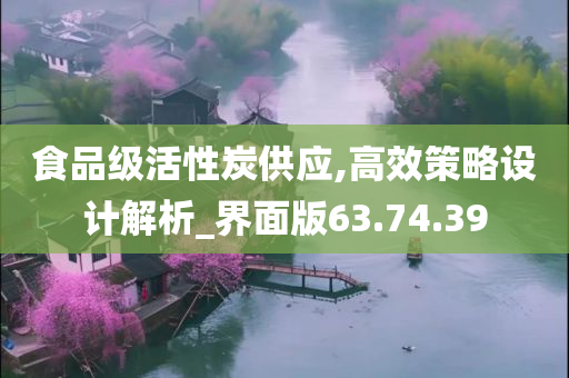 食品级活性炭供应,高效策略设计解析_界面版63.74.39