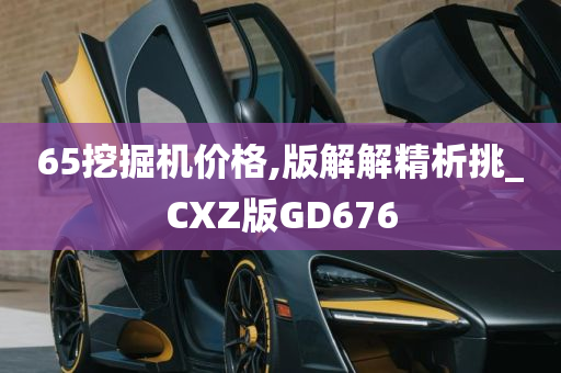 65挖掘机价格,版解解精析挑_CXZ版GD676