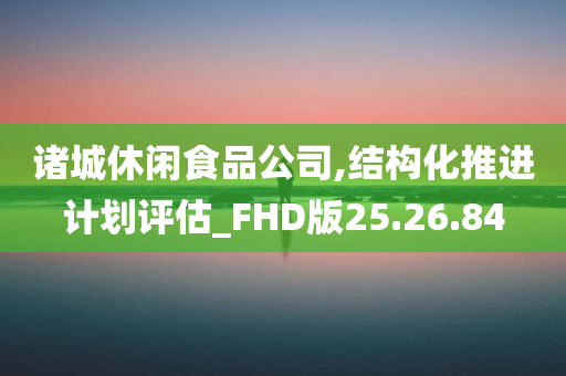 诸城休闲食品公司,结构化推进计划评估_FHD版25.26.84