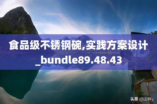 食品级不锈钢碗,实践方案设计_bundle89.48.43