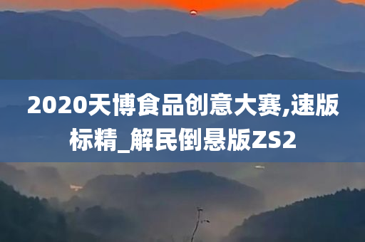 2020天博食品创意大赛,速版标精_解民倒悬版ZS2