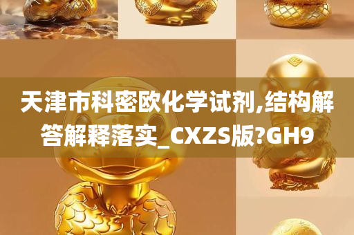 天津市科密欧化学试剂,结构解答解释落实_CXZS版?GH9