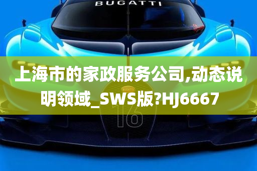 上海市的家政服务公司,动态说明领域_SWS版?HJ6667