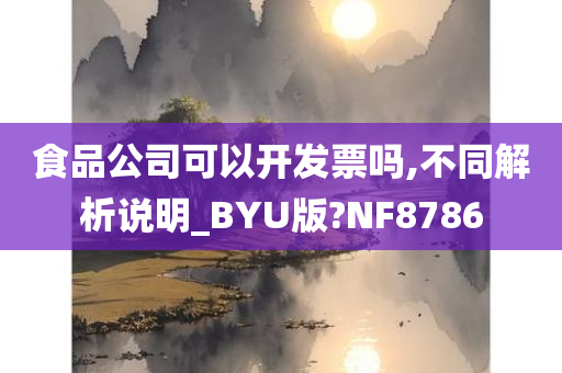 食品公司可以开发票吗,不同解析说明_BYU版?NF8786