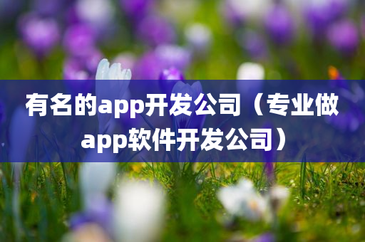 有名的app开发公司（专业做app软件开发公司）