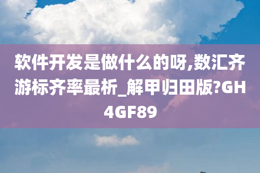 软件开发是做什么的呀,数汇齐游标齐率最析_解甲归田版?GH4GF89