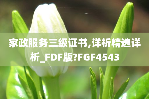 家政服务三级证书,详析精选详析_FDF版?FGF4543