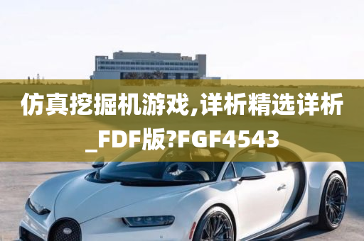 仿真挖掘机游戏,详析精选详析_FDF版?FGF4543