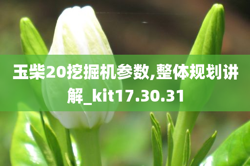 玉柴20挖掘机参数,整体规划讲解_kit17.30.31