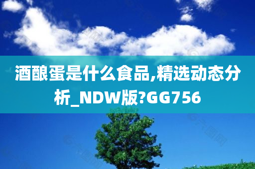 酒酿蛋是什么食品,精选动态分析_NDW版?GG756