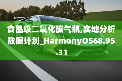 食品级二氧化碳气瓶,实地分析数据计划_HarmonyOS68.95.31