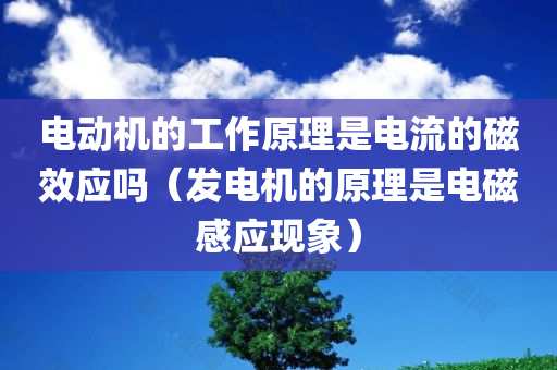 电动机的工作原理是电流的磁效应吗（发电机的原理是电磁感应现象）