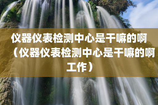 仪器仪表检测中心是干嘛的啊（仪器仪表检测中心是干嘛的啊工作）